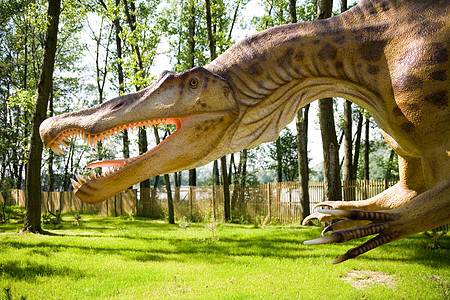 脊柱词库催化石身体尾巴盆纪怪物爪子恐慌化石石化蜥蜴棘龙图片
