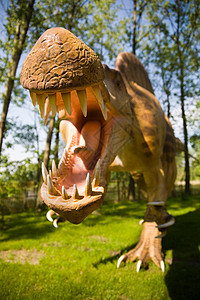脊柱词库催化石恐慌棘龙化石猎人三重奏盆纪蜥蜴森林怪物恐龙图片
