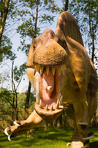 脊柱词库催化石蜥蜴怪物化石时间考古学公园森林捕食者模仿树木图片