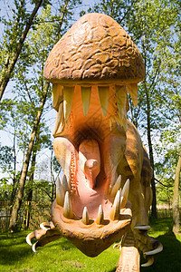 脊柱词库催化石捕食者痕迹斗争棘龙恐龙森林公园三重奏环境树木图片