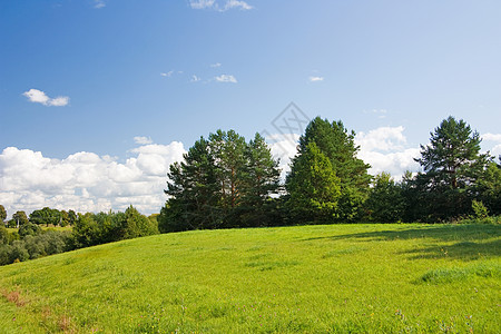 夏季风景场景天空太阳叶子爬坡自由美化场地环境气候图片