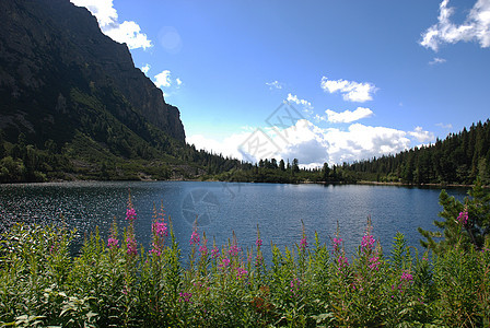 塔塔山森林顶峰冒险场景山峰热情草地绿色蓝色树木图片