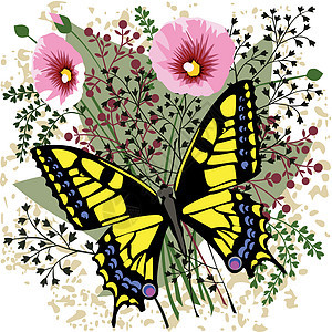 春花上的蝴蝶图片