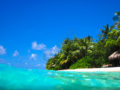 马尔代夫的热带天堂气候棕榈天空地平线叶子场景旅行海浪假期海景图片