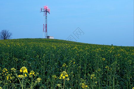 转发器手机草地农村播送桅杆技术框架网络细胞收音机图片