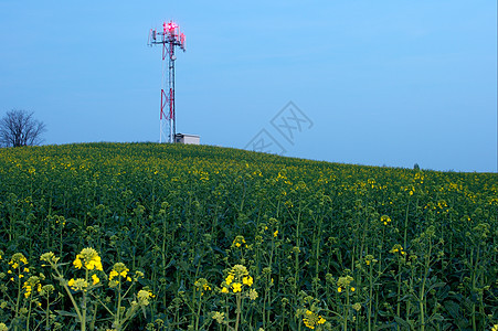 转发器手机草地农村播送桅杆技术框架网络细胞收音机背景图片