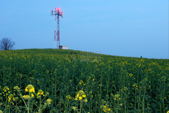 转发器手机草地农村播送桅杆技术框架网络细胞收音机图片