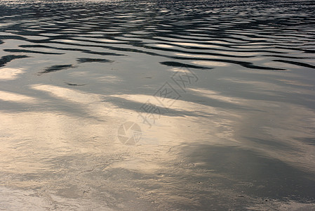 水池塘游泳海洋墙纸潜水太阳波纹阳光反射灰阶图片