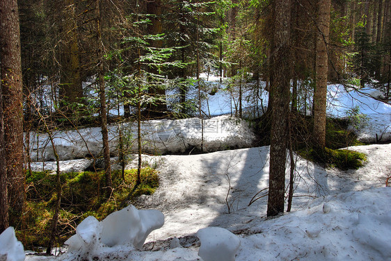 2007年意大利多洛米特阿尔卑斯山冬山地享受天堂假期滑雪者娱乐桌面森林天空山脉图片