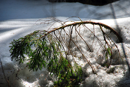 2007年意大利多洛米特阿尔卑斯山冬山地假期全景森林旅行滑雪者高山山脉自行车天堂图片