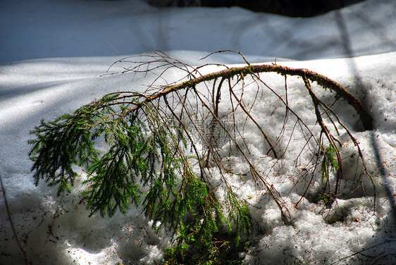 2007年意大利多洛米特阿尔卑斯山冬山地假期全景森林旅行滑雪者高山山脉自行车天堂图片