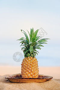 菠萝在海滩上天堂晴天情调热带水果旅游海洋食物异国海岸图片
