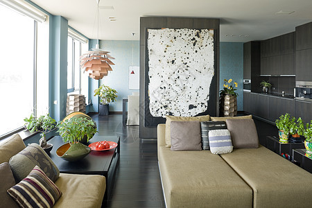 客厅内家具装饰沙发建筑学房子风格用餐木地板植物长椅图片
