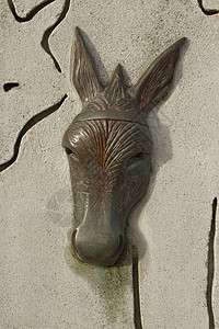 驴头雕塑眼睛鼻孔耳朵青铜线条凹槽图片
