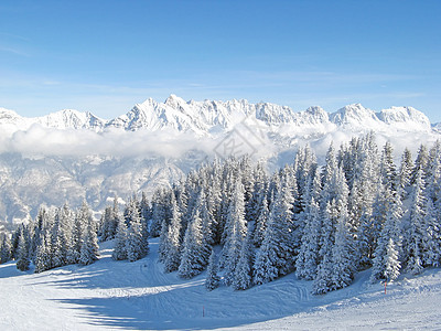 冰山中的冬天树木晴天滑雪荒野地球顶峰阴影天空寒意太阳图片