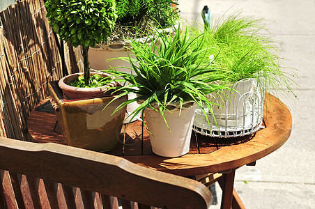 改良绿色植物房子椅子装潢园艺爱好木头露台风格播种机植物图片
