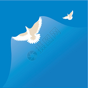 白鸽蓝色订婚自由插图上帝白色飞行天空翅膀羽毛背景图片