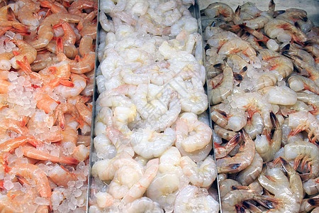 虾类品种图片