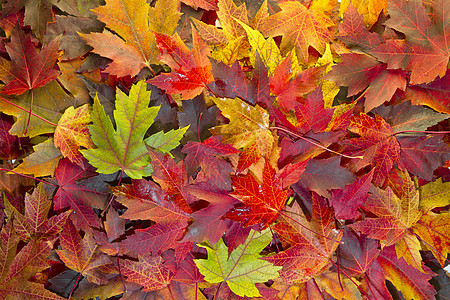 淡叶混合瀑布颜色背景 2图片