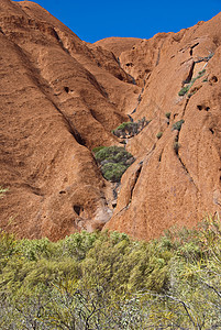 2009年8月 澳大利亚北部地区Ayers Rock旅行旅游土著蓝色天空日出日落农村衬套荒野图片