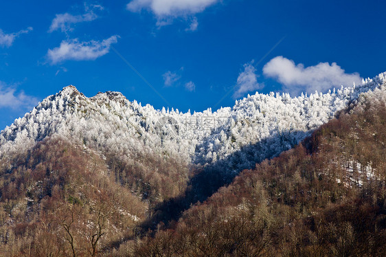 雪中的辣椒顶部全景树木场景乡村山脉烟囱季节蓝色磨砂风景图片