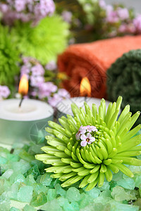 Spa 日橙子配件浴盐蜡烛紫色浴室毛巾植物群绿色花瓣背景图片