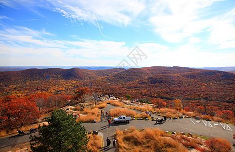 灰熊山顶的叶子景色公园森林风景晴天木头橙子地面蓝色场景天空图片