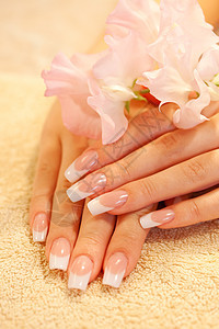 法国美甲女青年手的指甲福利手指女孩毛巾美甲师纤维美容师桌子白色奢华图片