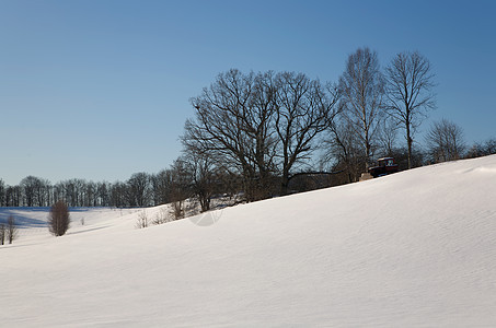 冬季雪日天空针叶太阳风景白色松树冻结荒野森林孤独图片