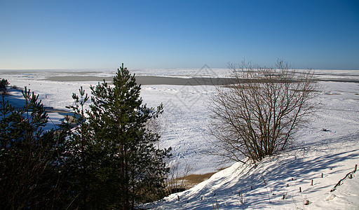 冬季雪日孤独气候针叶太阳森林风景松树荒野阴影冻结图片