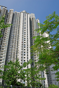 街道外面的高高白色公寓楼外摩天大楼住所住宅叶子生活财产住房奢华景观天空图片
