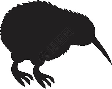 Kiwi 硅夹子动物奇异果艺术野生动物生物卡通片白色黑色羽毛图片