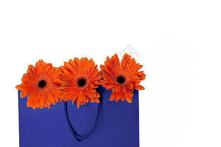 购物袋蓝色花瓣背景图片