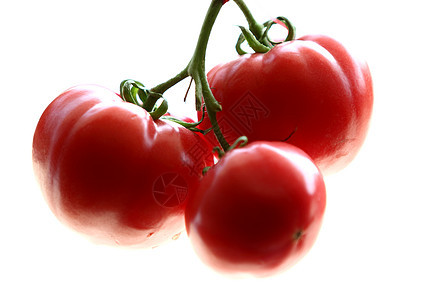 食物 蔬菜 番茄红色文章水果营养专题背景图片