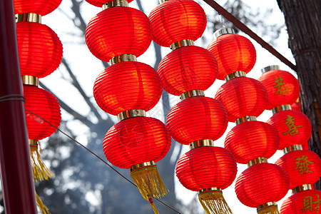 调时佛教徒建筑师标签花园灯笼草历史宝塔艺术旅游业冷泉图片