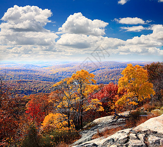 灰熊山顶的叶子景色天空森林场景民众公园地面蓝色风景晴天橙子图片