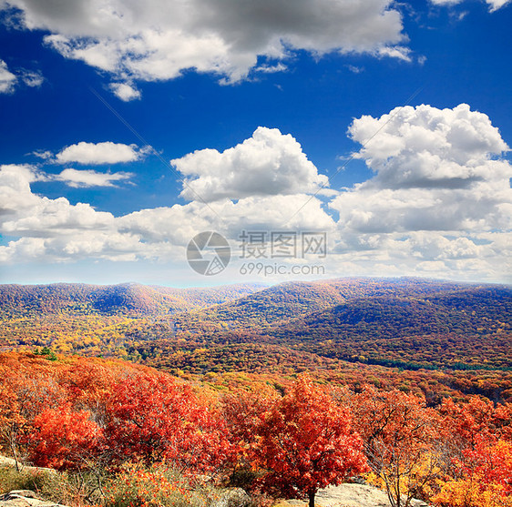 灰熊山顶的叶子景色地面木头森林风景晴天娱乐农村场景民众天空图片