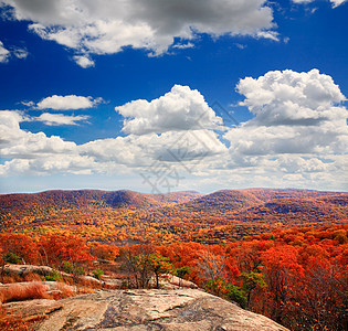 灰熊山顶的叶子景色娱乐风景橙子天空晴天民众蓝色公园农村地面图片