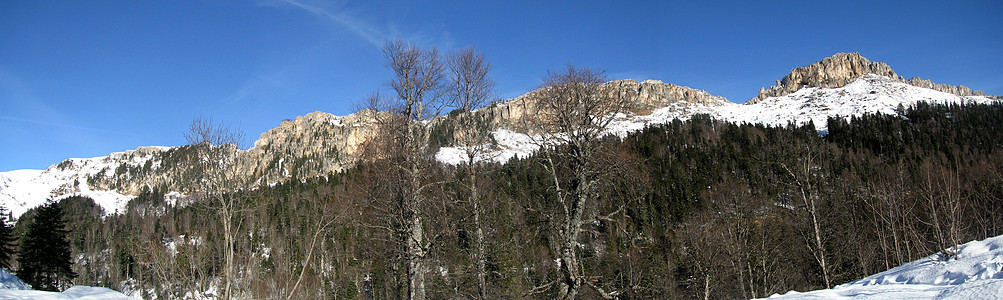 主要高加索山脊植被斜坡全景山丘冰川风景解脱旅行木头登山图片