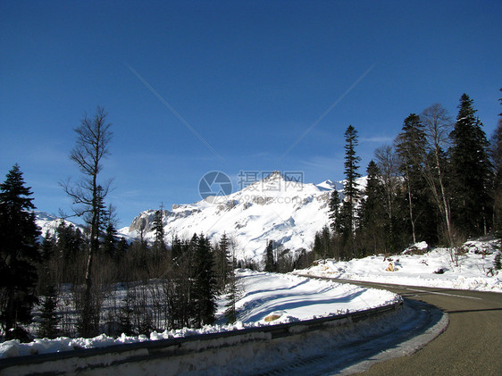冬季旅行风景登山青菜植物群山峰松树解脱木头山丘图片