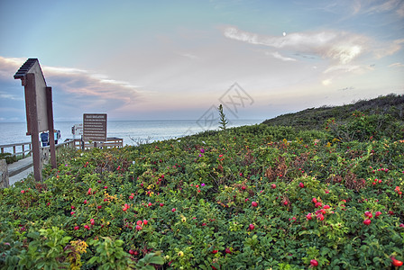 2008年8月 马萨诸塞州玛莎葡萄园海滩草地海岸海洋旅行天空假期萄园图片