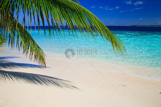 马尔代夫的热带天堂假期天空气候植物蓝色海景旅行地平线场景风景图片