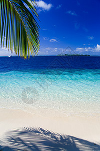 马尔代夫的热带天堂游泳蓝色旅游植物海景旅行美丽叶子海岸线太阳图片