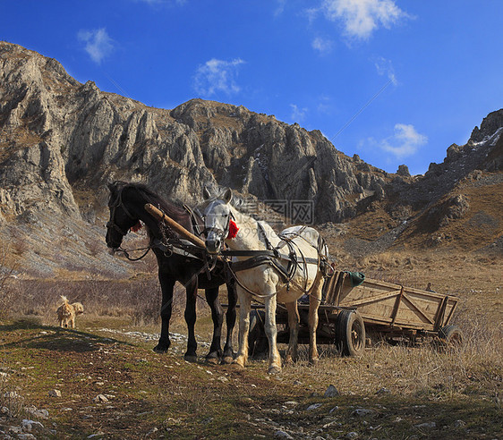 马和山车皮美丽地形石头远足车轮岩石夫妻山峰旅行图片