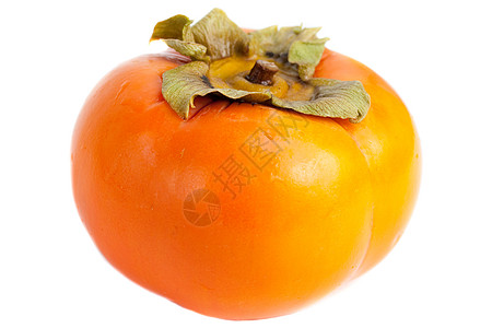 Persimmon 双环西蒙橙子柿子白色食物水果图片