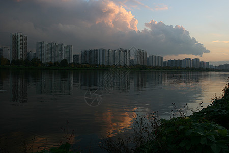 城市银行生态植物电力线空气树木照片天空建筑首都海岸图片