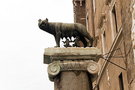 罗慕尔和雷穆斯旅游广场建筑学雕像爬坡石头地标雕塑建筑母狼图片