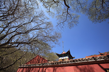 旅游观光景公园旅行宗教森林游客建筑大树宝塔风景寺庙图片