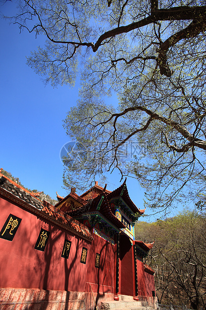 旅游观光景历史宗教风景旅行游客公园寺庙大树建筑蓝天图片
