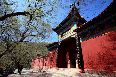 旅游观光景宗教宝塔风景大树旅行建筑森林游客蓝天寺庙背景图片